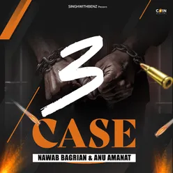 3 Case